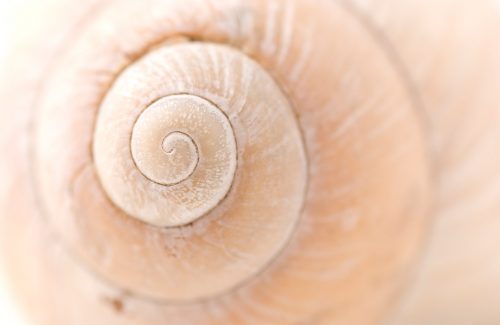 rebalanceflow-header-trainings